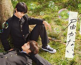 老吃母乳的海报剧照