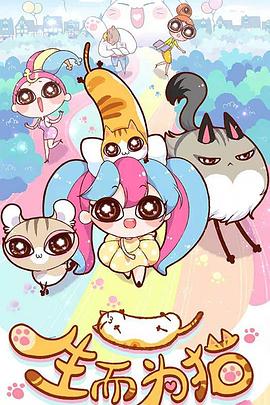 不卡dvd腾讯视频免费海报剧照